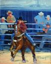 Wild Barrel Race  (2010)