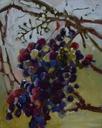 Concord Grapes