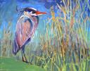 Reeds & Blue Heron