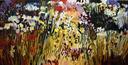 “High Plains Flowers” (2013)