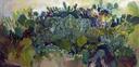 Prickly Pear